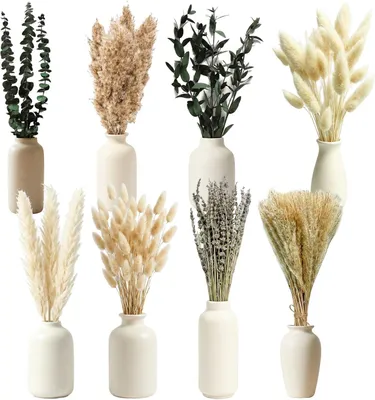 Produktbild von Pampasgras 100 Stücke, natürliche getrocknete Blumen, für Wohnung