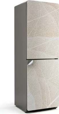 Obrázok produktu pre Detail žiliek listov - nálepka na chladničku - samolepiaca fólia na chladničku - samolepiaca fólia na chladničku - dekorácia do kuchyne - 60x180 cm