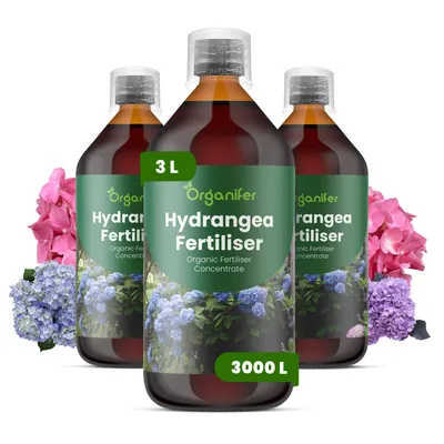 Obrázek produktu pro Hortenzie Tekuté Hnojivo 3x1 L – 2-1-8 NPK – Pro Kvetoucí Rostliny – Pro Zdravé Listy & Bujné Květy – Podporuje Kořeny & Vitalitu – Organifer