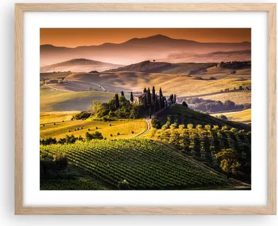 Produktbild von Gerahmtes Poster - Rahmen in heller Eiche - Landwirtschaft Bauernhof Toskana Weinberg - 50x40 cm - Wand Bild - Wanddeko - Wandbilder - Wandposter - Bilderrahmen - Bilder - Kunstdruck - P2NAA50x40-2465