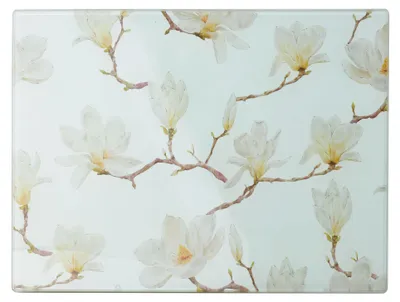 Imagen del producto de Tabla de cortar de vidrio, Allesken Aria, 40x30 cm, transparente, 1 unidad