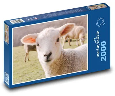 Obrázok produktu pre Puzzle 2000 Ovce na pastvine - martinpuzzle