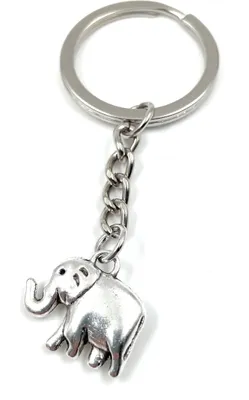 Produktbild von Onwomania Elefant trompetend Schlüsselanhänger Metall Glücksbringer in Alu Geschenkbox, ideal zum Verschenken