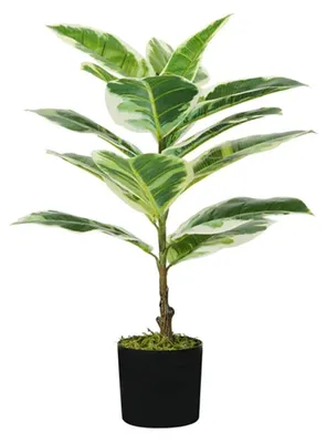 Image de Plante Kunstficus avec 15 feuilles - Plante d'intérieur décorative de 65 cm