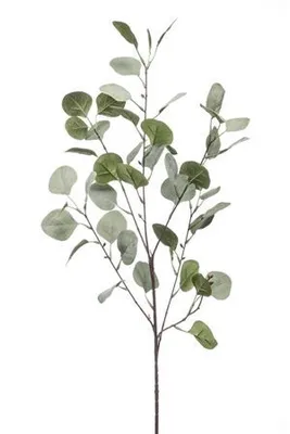 Produktbild von künstlicher Eucalyptus Zweig Kunstblätter H. 87cm grün Emerald Blätterzweig