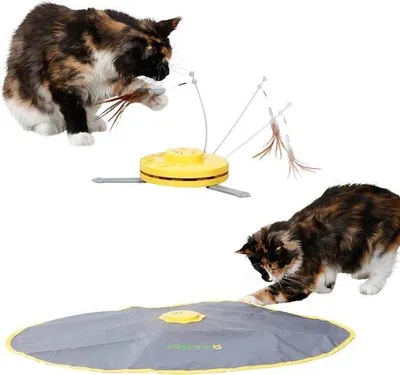 Image de Ensemble de jouets pour chat 2 en 1, 70 x 53 x 5 cm