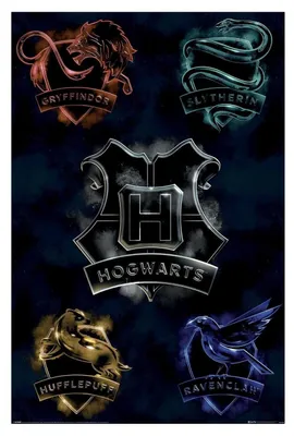 Produktbild von Harry Potter - Hogwarts Häuser-Poster PM13899 (Einheitsgröße) (Schwarz), KI-generiertes Bild