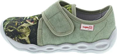 A single child's shoe with a dinosaur print.