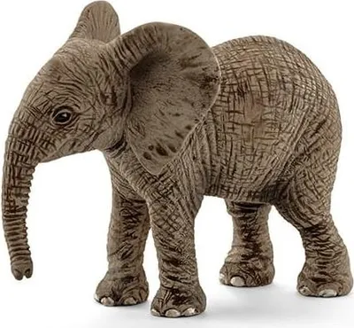 Zdjęcie produktu dla Schleich SLH Młody słoń afrykański 14763S 06244