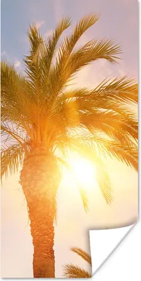 Produktbild von MuchoWow® Poster Palme - Sommer - Sonne - Tropisch 20x40 cm - Plakat - Foto