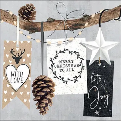 Immagine prodotto di Tovaglioli natalizi 33x33 cm a 3 veli 20 tovaglioli Natale hangtags
