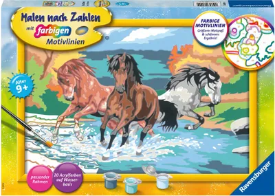 Produktbild von Stolze Wildpferde