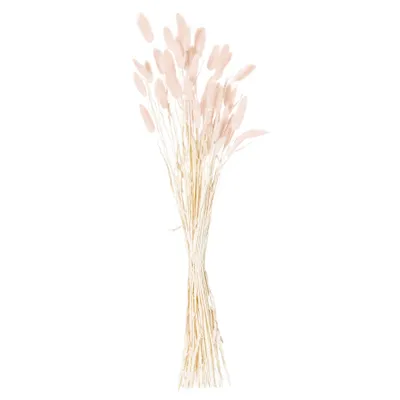 Immagine prodotto di Hill Interiors - Fiori secchi, erba di velluto confezione da 60 HI4170 (60 cm) (rosa pallido)