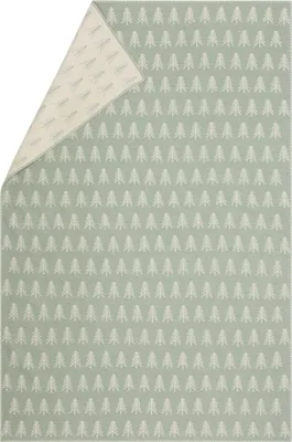 Produktbild von Kuscheldecke Tannen Farbe Salbeigrün 135x200cm von David Fussenegger