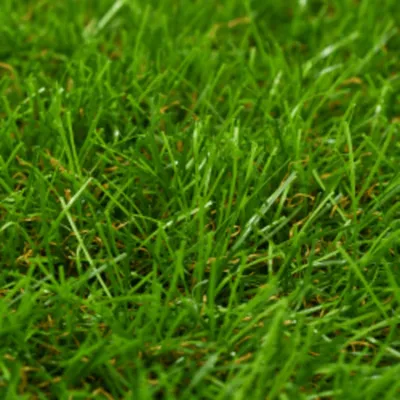 Immagine prodotto di Erba Artificiale 1x15 m/40 mm Verde