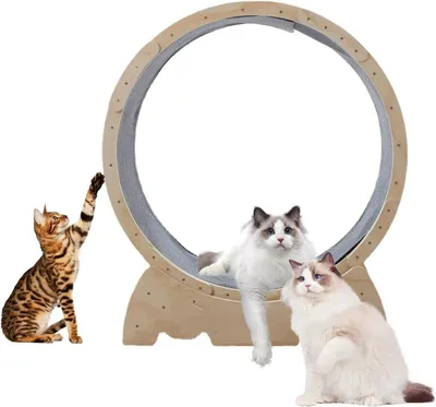 Productafbeelding van Katten Loopwiel - Kattenrenrad - Katrenwiel - Katten Trainingswiel - Kat Speelwiel - 83 cm Diameter