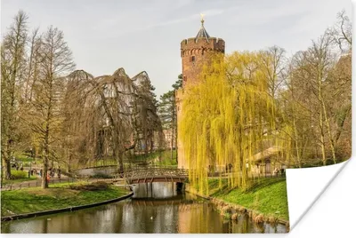 Produktbild von MuchoWow® Poster Wasser - Baum - Nijmegen 180x120 cm - Fotoplakat