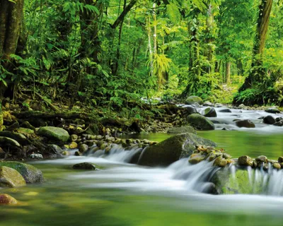 Produktbild von Wälder Kunstdruck Bild - Magischer Gebirgs-Fluss (40 x 50 cm)