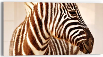 Produktbild von DEQORI Glasbild Echtglas 60x30 cm 'Savannenstreifen' Wandbild Bild modern Deko