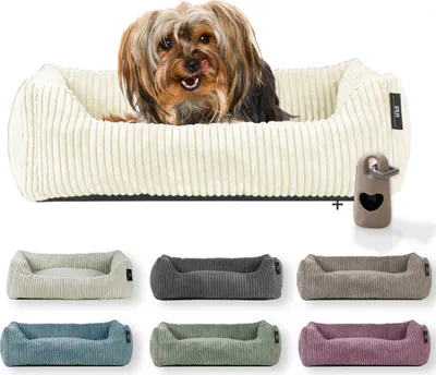 Produktbild von Rohrschneider Hundebett waschbar für kleine und mittelgroße Hunde mit Hundekissen Cord  inkl. Gassibeutel, Farbe:vanille 55cm, Muster:Cordstoff breit