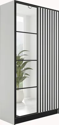 A white wardrobe with black vertical stripes on one door and mirrored doors on the other, with a plant visible inside.