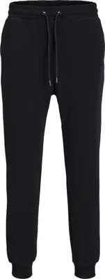 Produktbild von JACK & JONES Jogginghose Basic Relaxed Fit JPSTGORDON Größe: S