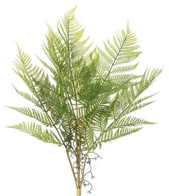 Produktbild von Künstliche Farnzweige für Blumenarrangements und Dekoration