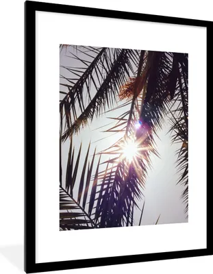 Produktbild von MuchoWow® Gerahmtes Poster Palmwedel - Sonne - Sommer 60x80 cm - Poster mit Schwarzem Bilderrahmen Wandposter Rahmen Foto Bilder - Wohnzimmer - Dekorationen - Prämie