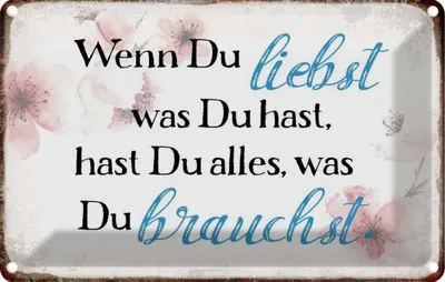Produktbild von vianmo Blechschild 20x30 cm wenn du liebst was hast Spruch Zitat