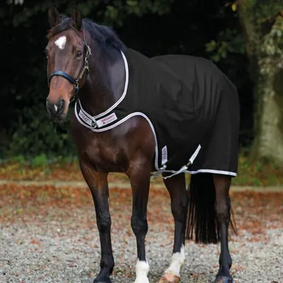 Produktbild von Horseware Amigo Waterproof Walker Lite 100g - Black with silver & red, M
