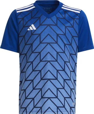 Imagen del producto de Camiseta Adidas Junior Team Icon 23, modelo HR2654, talla 128