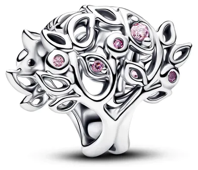 Produktbild von Pandora-Konto, 925Er Silber 794486C01