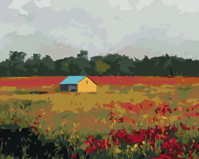 Produktbild von Zuty - Malen nach Zahlen - HAUS UND MOHNBLUMEN, 40x50 cm, mit Keilrahmen (bereits gespannt)