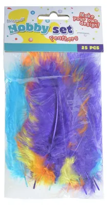 Image de Plumes de duvet diverses, 25 pcs.