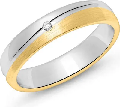 Produktbild von Damenring Unique Sterlingsilber teilvergoldet mattiert (Größe: 60mm)