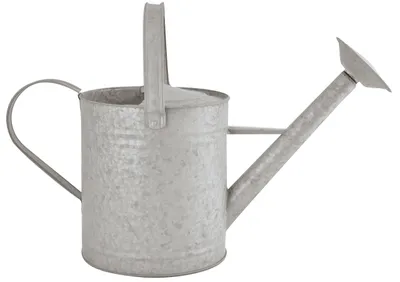 Productafbeelding van Zinken Gieter - 5 Liter - Grijs
