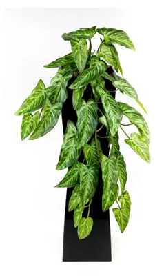 Produktbild von Künstliche Alocasia-Ranke 50cm