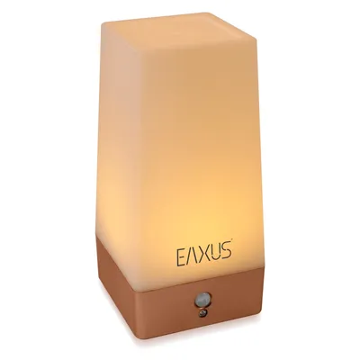 A product shot of a white LED night light with a brown base.