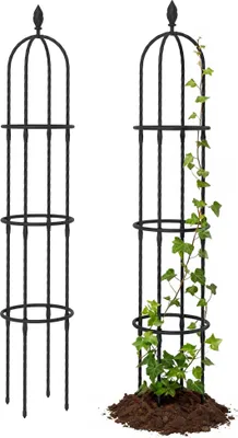 Image de Lot de 2 obélisques de jardin - Support pour plantes grimpantes/treillis - Acier - Hauteur 1,74 m - Pour plantes grimpantes - Noir