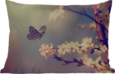 Produktbild von MuchoWow® Outdoor Kissen - Schmetterlinge - Blüte - Zweig - Baum - 50x30 cm - Wetterfest - Lounge Kissen - Sofa kissen - Wohnzimmer Dekoration