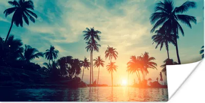 Produktbild von MuchoWow® Poster Meer - Sonnenuntergang - Palme - Wolken 160x80 cm - Foto Poster