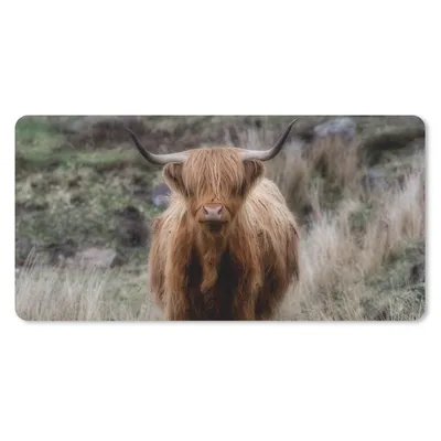 Produktbild von MuchoWow® Mauspad Mousepad Schottischer Hochländer - Moos - Gras 60x30 cm - Mousepads - Maus Mat - Pad - Mausunterlage - Nachhaltig