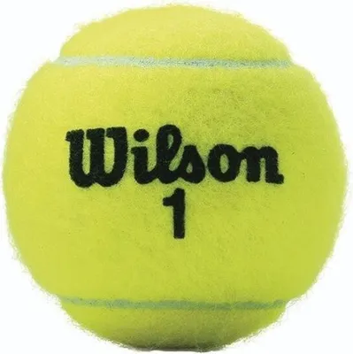 Produktbild von Wilson Tennis Championship XD Tennisbälle Dose mit 4 Bällen VPE 18 Stück