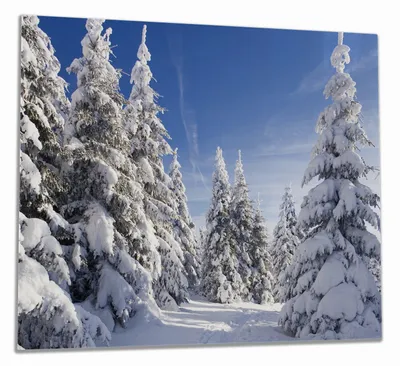 Produktbild von Wallario Herdabdeckplatte aus Glas, Größe 60 x 52 cm 1-teilig, Motiv Wanderweg im Schnee