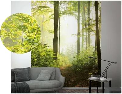 Produktbild von NEWROOM Tapete Omair Grün Vliestapete - Natur Wald Baum Germany