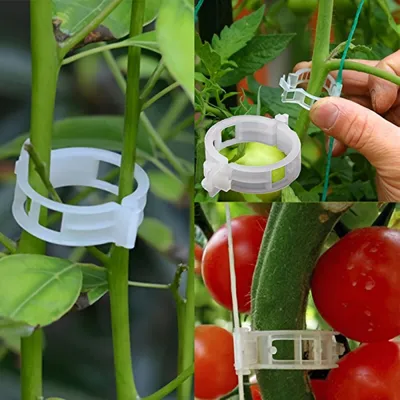 Obrázok produktu pre Klips na upevnenie paradajok 30 ks