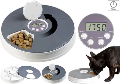 Image de Distributeur programmable de nourriture pour petit chien et chat