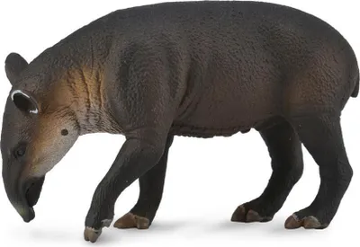 Immagine prodotto di COLLECTA Tenia