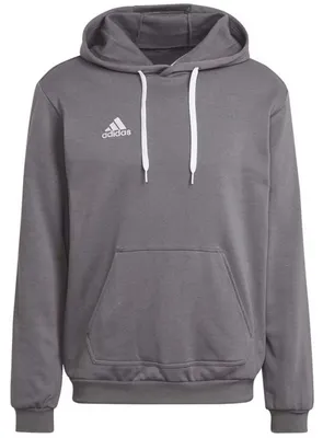 Image de ADIDAS Herren Ent22 Hoodie Sweatshirt, Tegrfo HB0578 - L