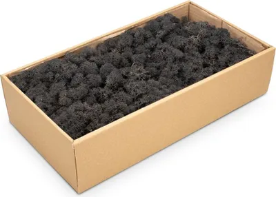 A cardboard box filled with black preserved reindeer moss.